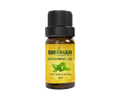 SPEARMINT OIL (Mentha Spicata) – 10ml
